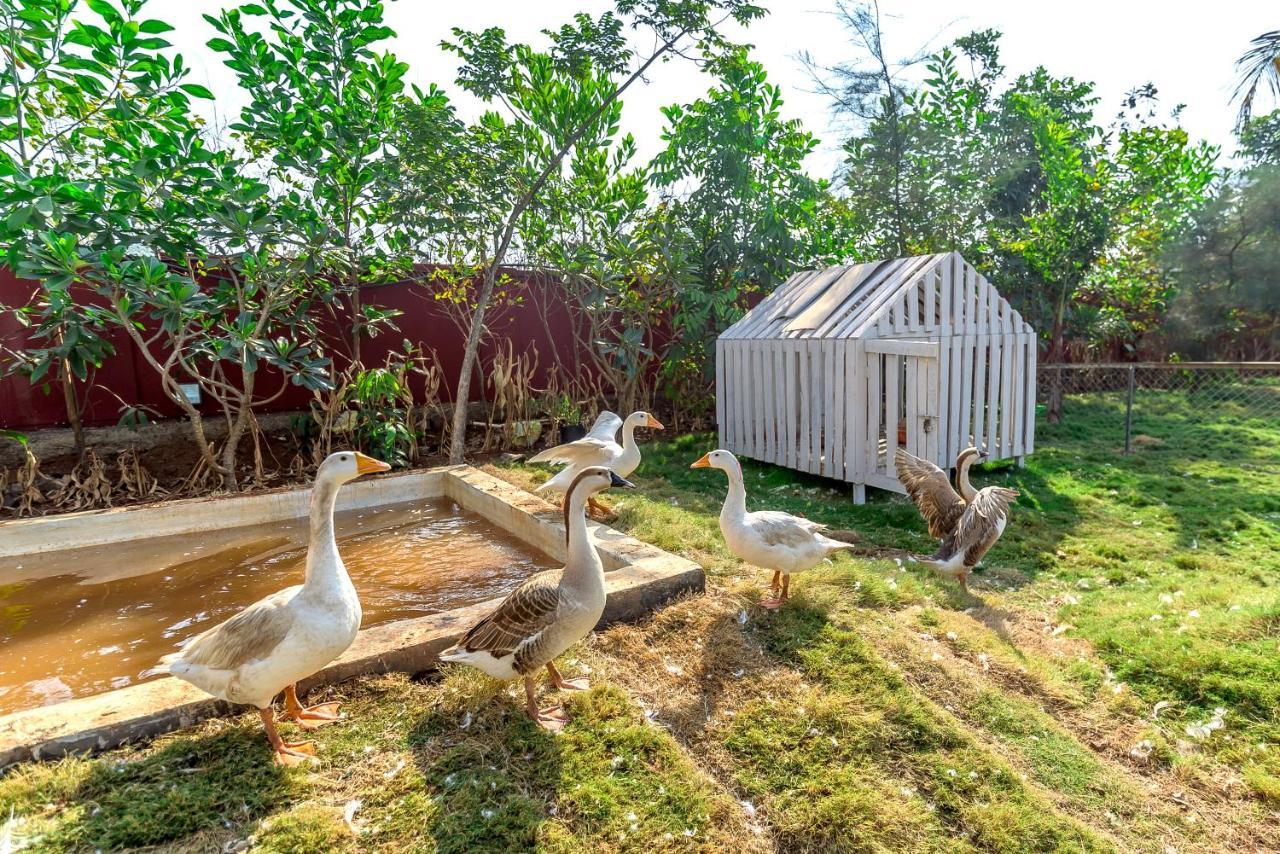 Saffronstays Palm Paradise, Kalyan Khadavli - Swimming Pool With Water Slides, Gazebo And Indoor Games Padghe Extérieur photo